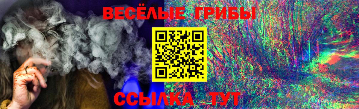 Галлюциногенные грибы Psilocybine cubensis Коммунар