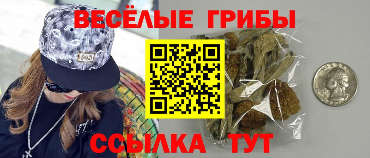 Коммунар  Псилоцибиновые грибы GOLDEN TEACHER  Вход с VPN 